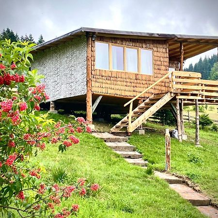 Harmonie Tree House Cotagges Chalet Predeal Trei Brazi Exterior foto