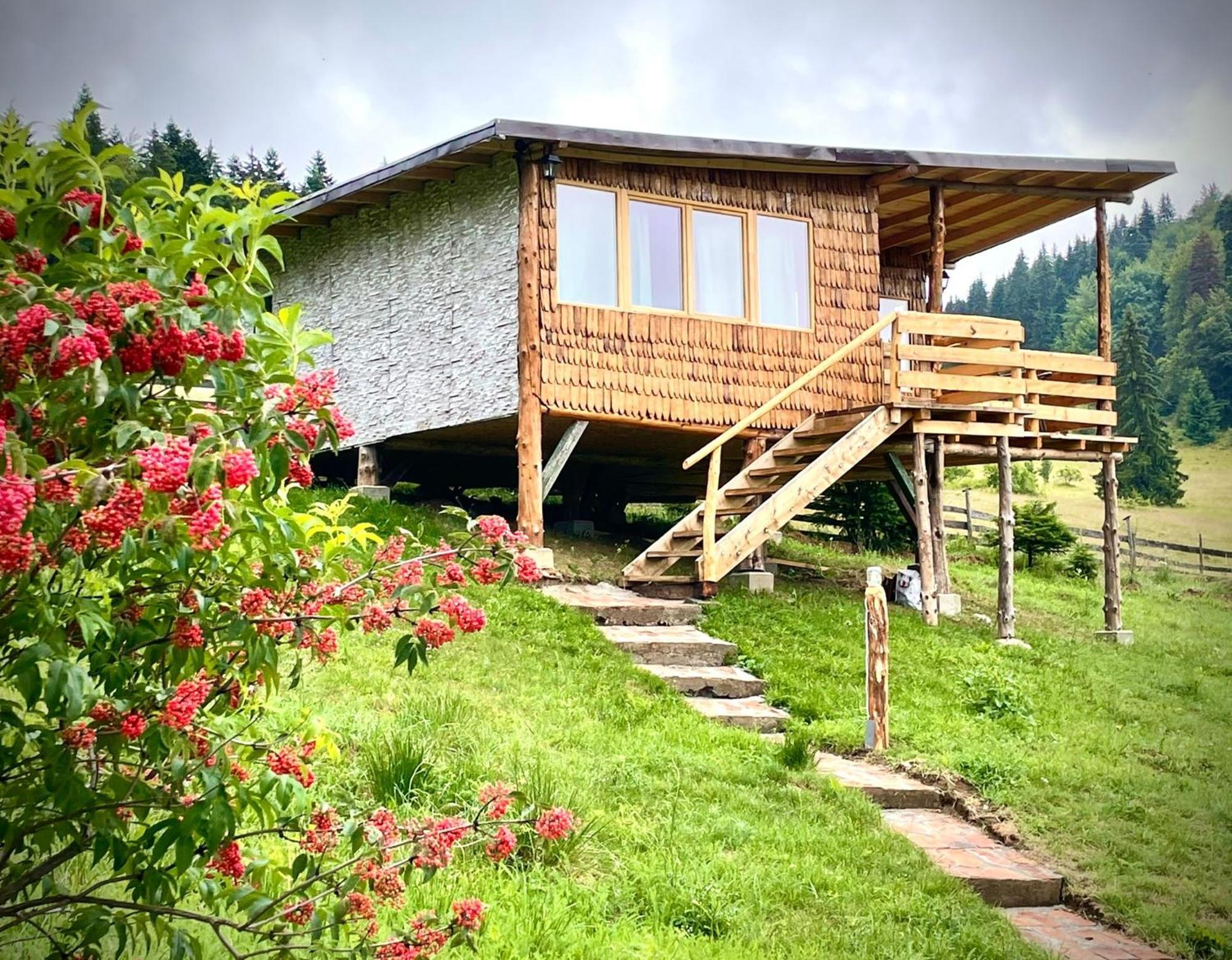 Harmonie Tree House Cotagges Chalet Predeal Trei Brazi Exterior foto