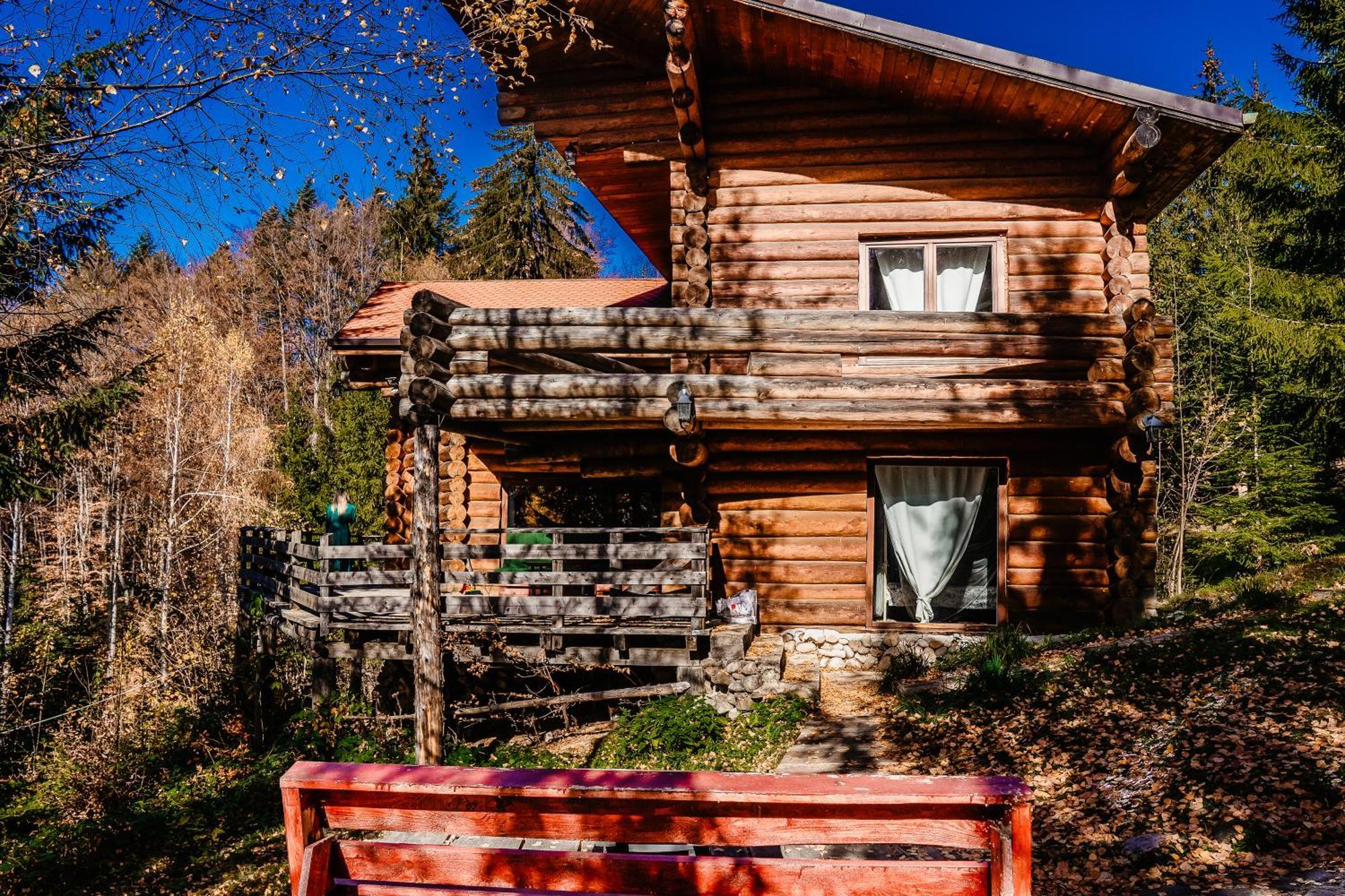Harmonie Tree House Cotagges Chalet Predeal Trei Brazi Exterior foto