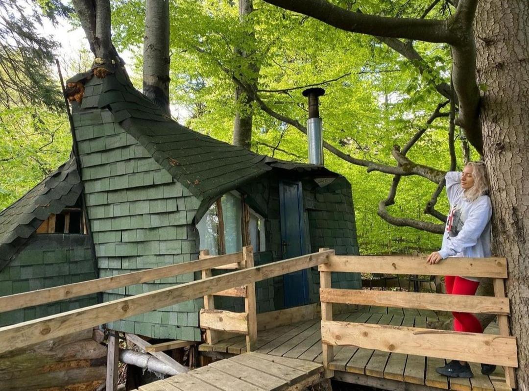 Harmonie Tree House Cotagges Chalet Predeal Trei Brazi Exterior foto