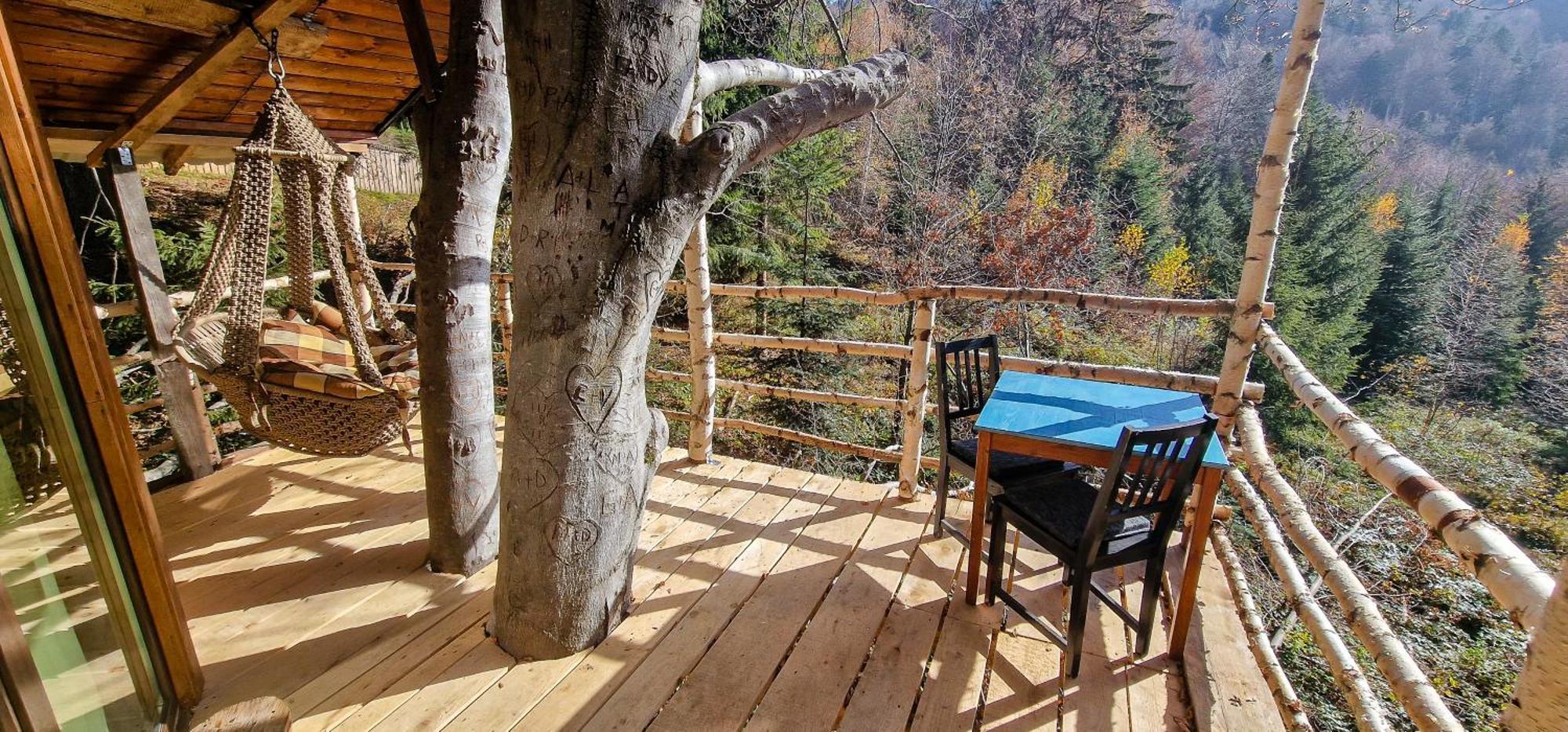 Harmonie Tree House Cotagges Chalet Predeal Trei Brazi Exterior foto